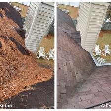 Roof Cleaning in Hoover, AL 1